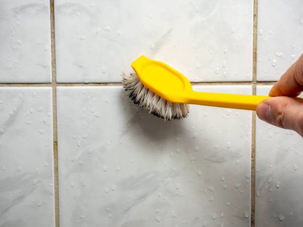 Best Kitchen Mold Remediation in Vandalia, MO