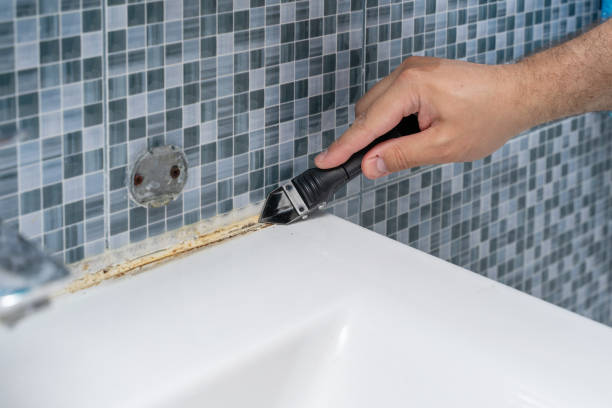 Best Commercial Mold Remediation in Vandalia, MO